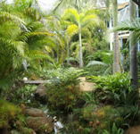 Chamomile Bed and Breakfast - Accommodation Cairns