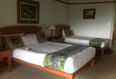 OReillys Rainforest Retreat - Accommodation Cairns 5