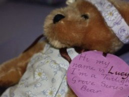 Twilight Grove Farm Bed And Breakfast  - Accommodation Cairns 1