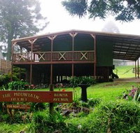 UTM - Holiday Home - Accommodation Cairns