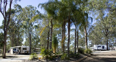 Barambah Bush Caravan Park - Accommodation Cairns 1
