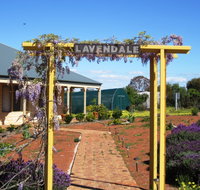 Lavendale Farmstay and Cottages