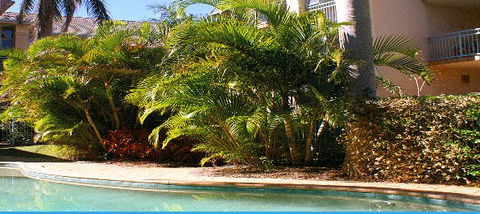 Golden Sea Apartments - Accommodation Cairns 4