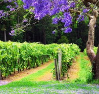 Bago Vineyards - Accommodation Cairns