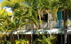 Palm Waters Holiday Villas - thumb 1