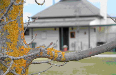 Dunalan Host Farm Cottage - Accommodation Cairns 1