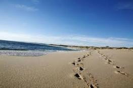 Kalbarri Palm Resort - Accommodation Cairns 4