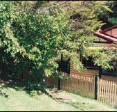 Apple Tree Cottage - Accommodation Cairns
