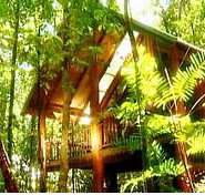 The Canopy Treehouses - Accommodation Cairns