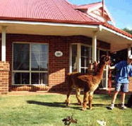 Brilea Cottages - Accommodation Cairns