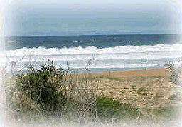 Hardys Bay NSW Accommodation Cairns