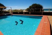 President Holiday Apartments - Accommodation Cairns 3