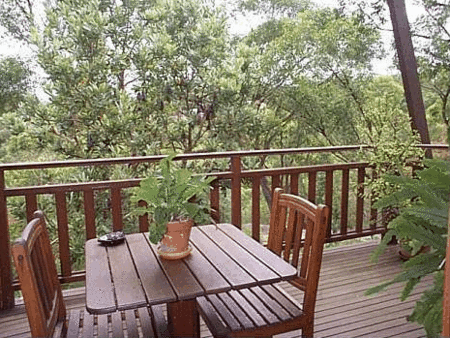 Studio Cottages Romantic Hideaway - Accommodation Cairns 4
