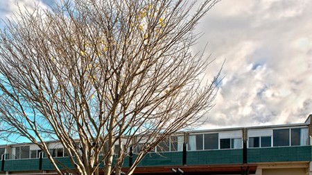 St Helens Bayside Inn - Accommodation Cairns 1