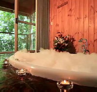 Tree Houses Of Montville - Accommodation Cairns