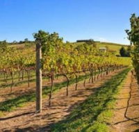 DeVine Escape - Accommodation Cairns