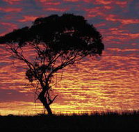 Kimba Caravan Park amp Motel - Accommodation Cairns