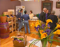 Tourist Attractions Brookhampton WA Accommodation Cairns