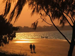 Alexander Luxury Apartments - Accommodation Cairns 2