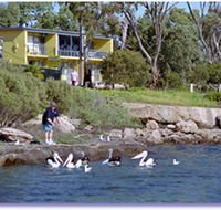 Almonta Holiday Apartments - Accommodation Cairns