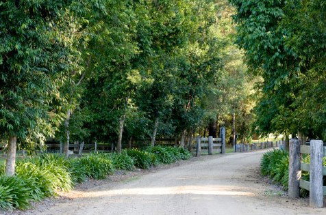 The Plantation - Accommodation Cairns 0