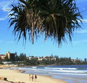 Mariners Caloundra - Accommodation Cairns
