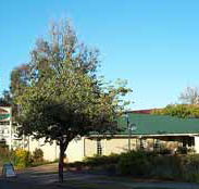 Riverland Motor Inn - Accommodation Cairns