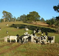 St Columba Cottage - Accommodation Cairns