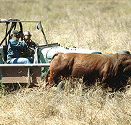 Bullo River Station - Accommodation Cairns
