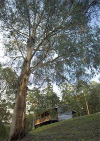 Ada VIC Accommodation Cairns