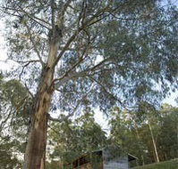 Outpost Restaurant - Accommodation Cairns