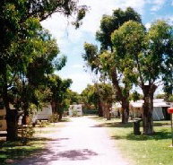 Bathers Paradise Caravan Park - Accommodation Cairns