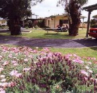 Brigadoon Holiday Units - Accommodation Cairns