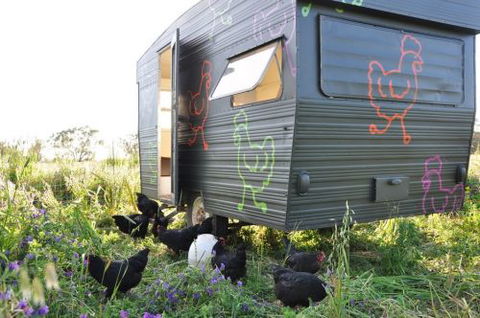 Girragirra Retreat - Accommodation Cairns 6