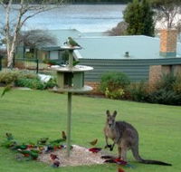 Gipsy Point Lakeside - Accommodation Cairns