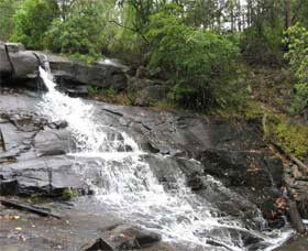 Accommodation Cairns