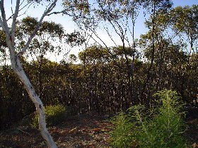 Ambania ACT Accommodation Cairns