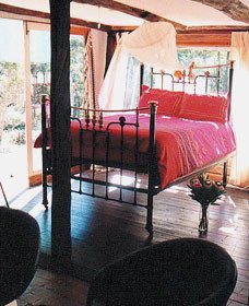 Lazy Curl - Accommodation Cairns 0