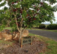 Belle Vue Studio - Accommodation Cairns