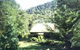 Horse Haven Farmstay - thumb 0