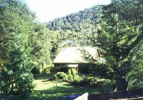 Horse Haven Farmstay - Accommodation Cairns 0