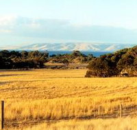 The Kona - Accommodation Cairns