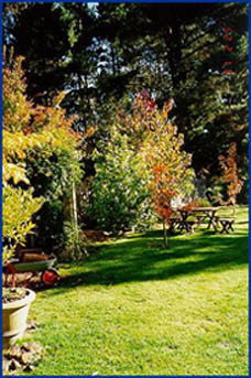Peartree Cottage Leura - Accommodation Cairns 0