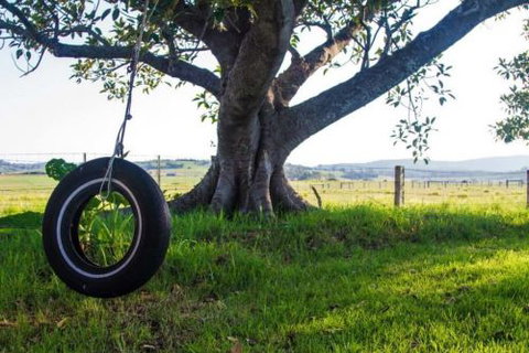 Old Schoolhouse Milton - Accommodation Cairns 3