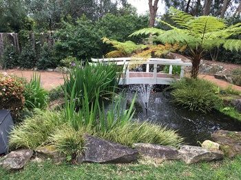 Checkers Resort & Conference Centre - Accommodation Cairns 20