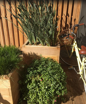 Bannisters By The Sea - Accommodation Cairns 21