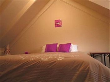 Barrington Wilderness Cedar Lodge Accommodation - Accommodation Cairns 2