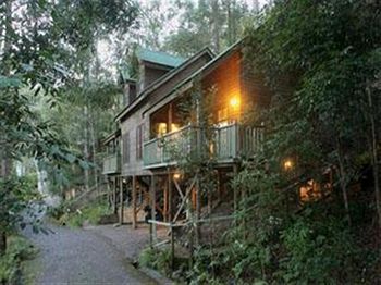 Barrington Wilderness Cedar Lodge Accommodation - Accommodation Cairns 3