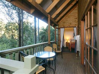Barrington Wilderness Cedar Lodge Accommodation - Accommodation Cairns 5