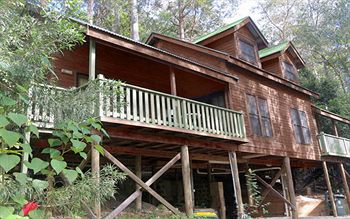 Barrington Wilderness Cedar Lodge Accommodation - Accommodation Cairns 12